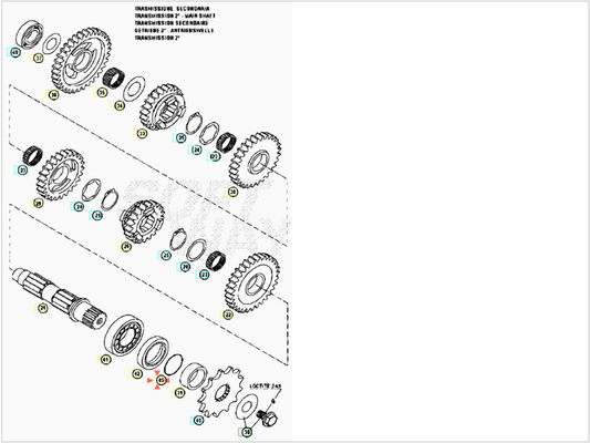 Anello Or Pignone 25,12X1,78 Beta RR 400 / 450 / 525 4T (2005-2009) OEM 3625049000