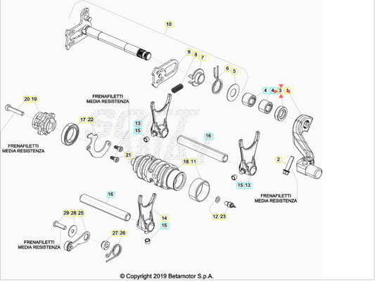 Anello Paraolio Leva Cambio 14X24X6 Beta RR 2T-4T (2010-2026) - Xtrainer (2015-2026) - RX 2T-4T