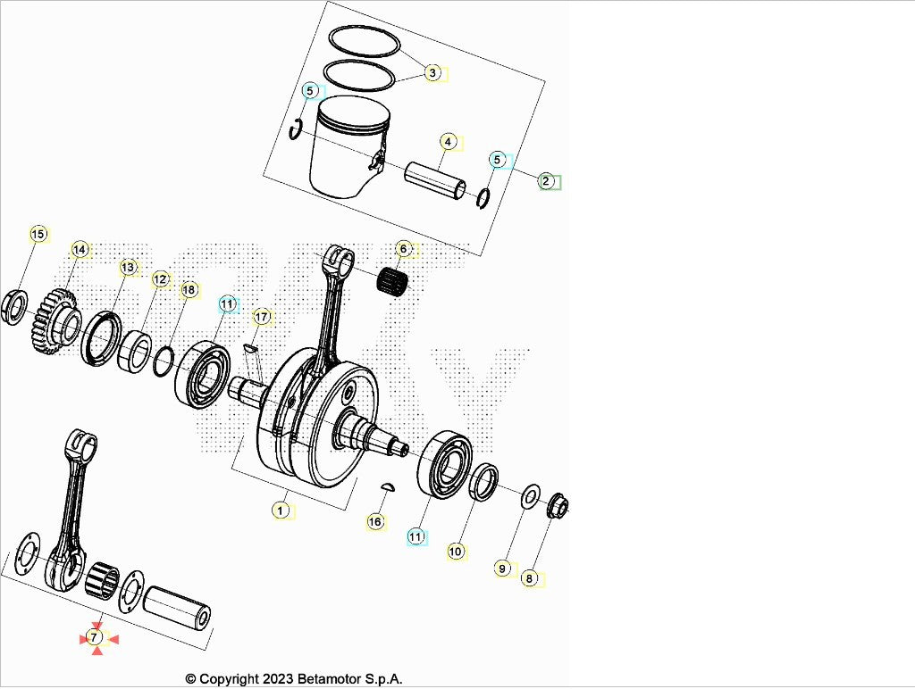 Biella completa Beta RR 250/300 2T 2013-2017 Xtrainer 250/300 2015-2017