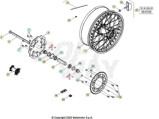 Distanziale ruota posteriore Beta RR 125/200/250/300 2T RR 350/390/430/480 4T RACE 2025 X-PRO 2026