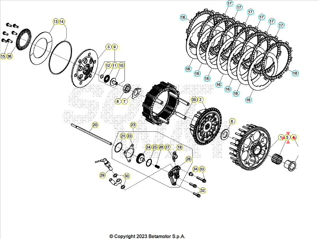 Gabbia A Rulli Campana Frizione Beta RR 2T (2013-2026) - RR 4T (2010-2026) - Xtrainer (2015-2026) OEM