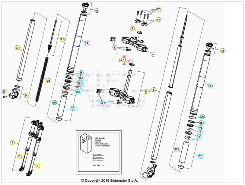 Ghiera Forcella Beta RR 50 Enduro Racing 2012-2020 RR 50 Motard Track 2015-2020