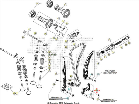 Guidacatena Beta RR 4T (2020–2027) - RX 450 4T (2024-2027) OEM 037113008000