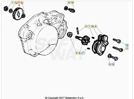 Ingranaggio pompa acqua Beta RR 50 Enduro/Motard 2005-2025 AM6
