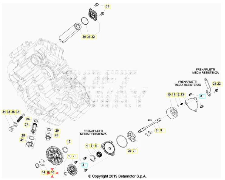 Ingranaggio pompa olio Beta RR 4T (2020-2026) - Beta RX 450 4T (2024-2026) OEM 037080090000