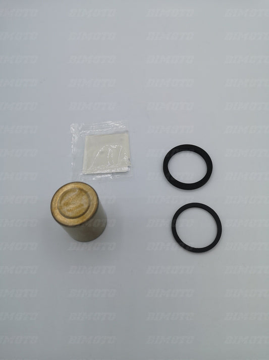 Kit revisione pinza freno posteriore Nissin Beta RR/RX 2T 4T (2005-2026) - Xtrainer OEM 037360188200