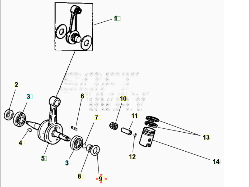 Paraolio di banco 24X35X7 Beta RR 50 2005-2024 AM6