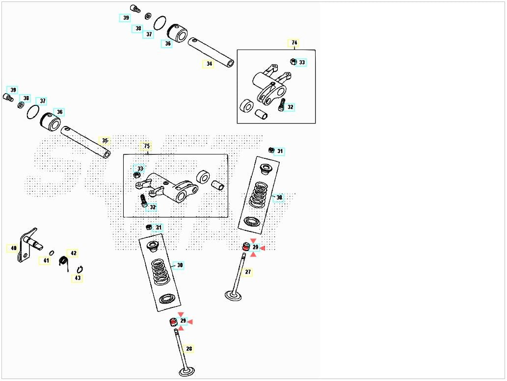 Paraolio guida valvola Beta RR 400/450/525 4T 2005-2009