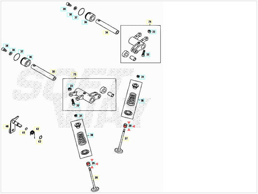 Paraolio guida valvola Beta RR 400/450/525 4T 2005-2009