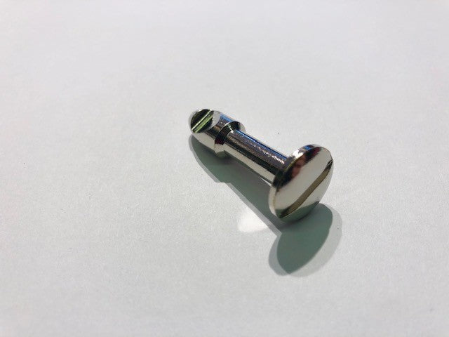 Perno chiusura sella Beta RR 50 12/20 RR-RE 125 07/16 Alp 4.0 - M4