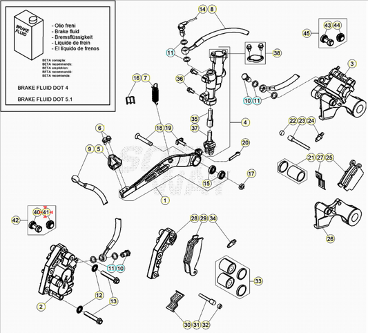 Protezione pinza freno anteriore Nissin Beta RR 2T 125-200-250-300 2013-2023 RR 4T 350-390-400-430-450-480-498-525 2005-2023