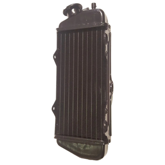 Radiatore Destro Beta RR 50 2T (1999-2026) OEM 032390428259