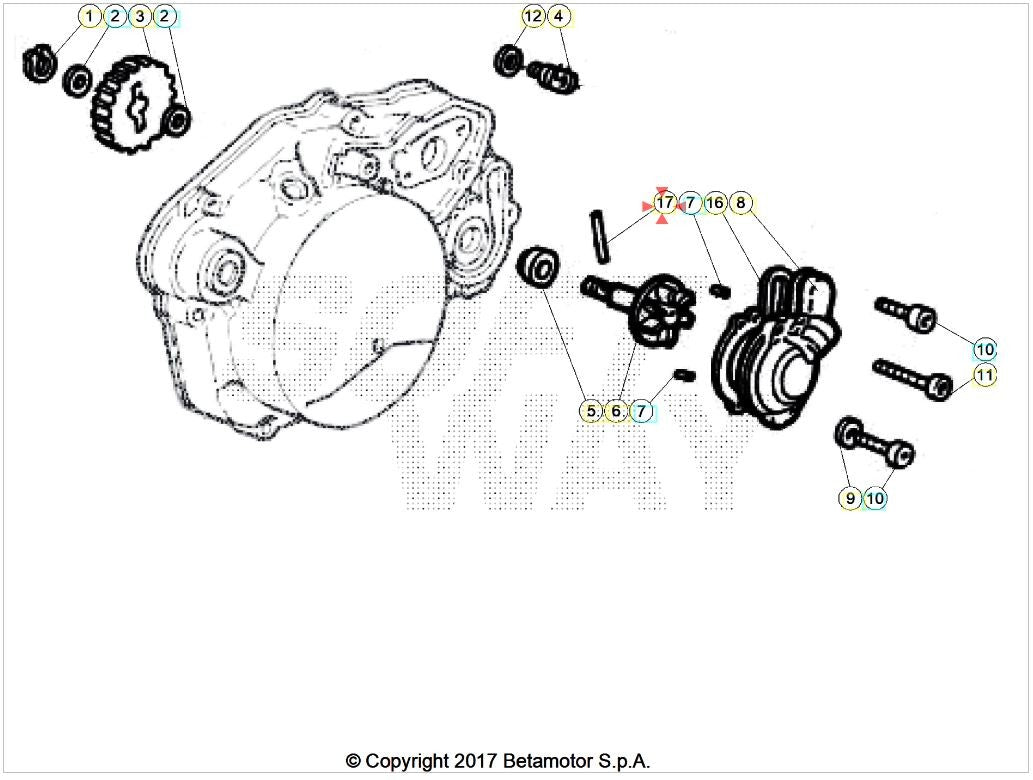 Rullo ingranaggio condotto pompa acqua AM6 Beta RR 50 2T (2005-2026) OEM 3401090000
