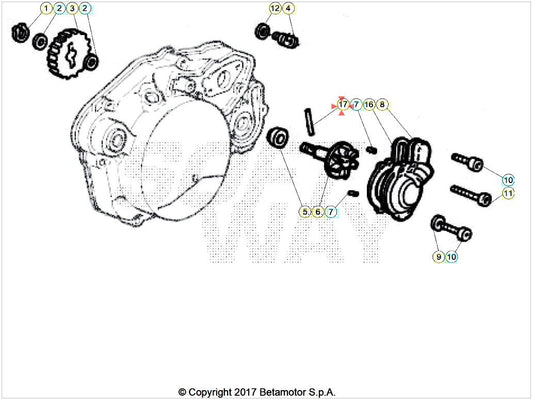 Rullo ingranaggio condotto pompa acqua AM6 Beta RR 50 2T (2005-2026) OEM 3401090000