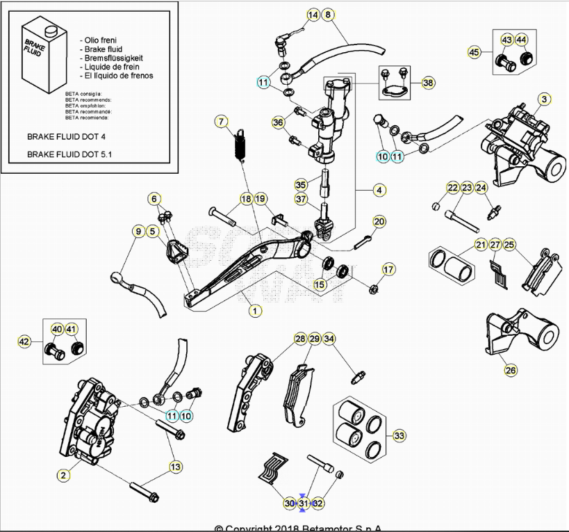 Nissin Front Brake Pad Pin for Beta RR 2T-4T (2005-2026) - RX 2T-4T (2023-2026) - Alp 4.0 (2025-2026)