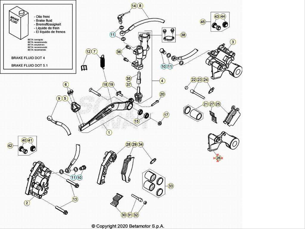 Staffa pinza freno posteriore Beta RR 125/200/250/300 2T 2013-2023 RR 250/350/390/400/430/450/480/498/520/525 2005-2023