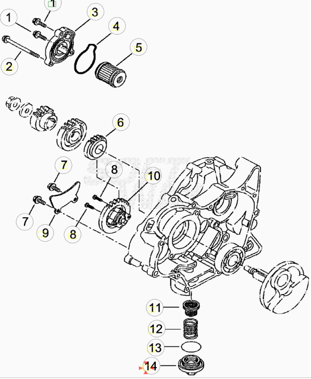 Tappo Scarico Olio Beta RR 125 4T LC (2013-2026) OEM 021080130000