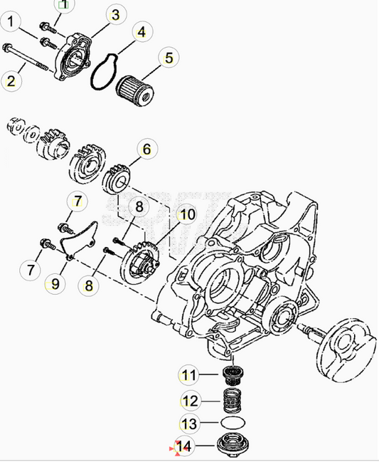 Tappo Scarico Olio Beta RR 125 4T LC (2013-2026) OEM 021080130000