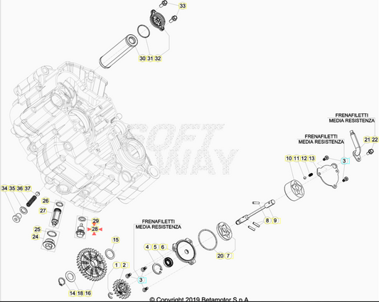Tappo Scarico Olio Cambio Beta RR 2T (2013-2026) - RR 4T (2010-2026) - Xtrainer (2015-2026) OEM