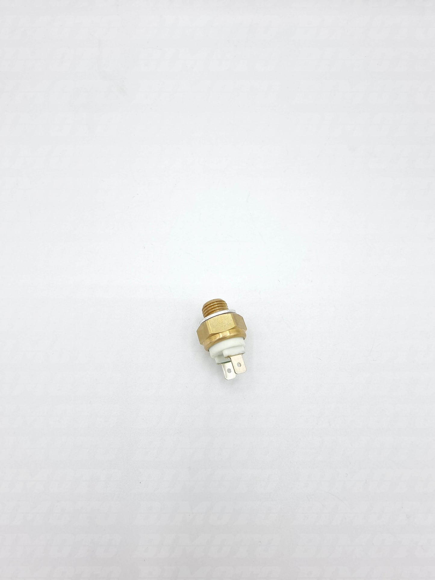 Termointerrutore Beta Xtrainer 250/300 2T 2015-2024