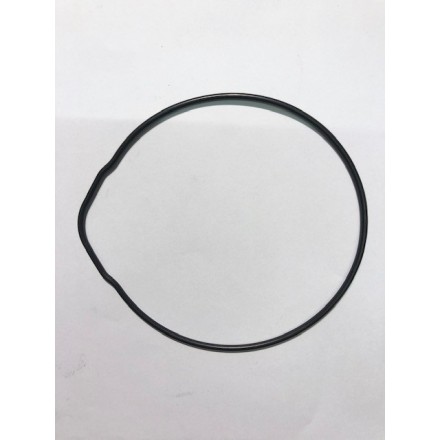 Anello oring esterno testa AM6 Beta RR 50 enduro/motard 2005/2019