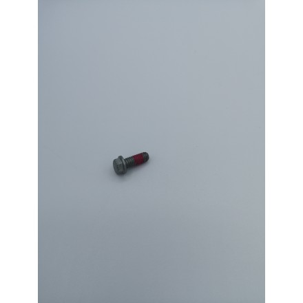 Vite per disco freno Beta M6X14mm