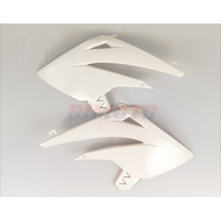 Convogliatori (coppia) Beta RR 50 Enduro/Motard 2005/2011 Convogliatori (coppia) Beta RR 50 Enduro/Motard 2005/2011