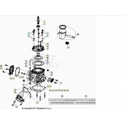 RR 2T 50 - Betamotor S.p.A.