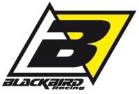 Blackbird