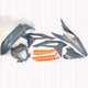 Kit Plastiche Completo Beta Xtrainer 250 / 300 2T (2023–2026) Grigio OEM