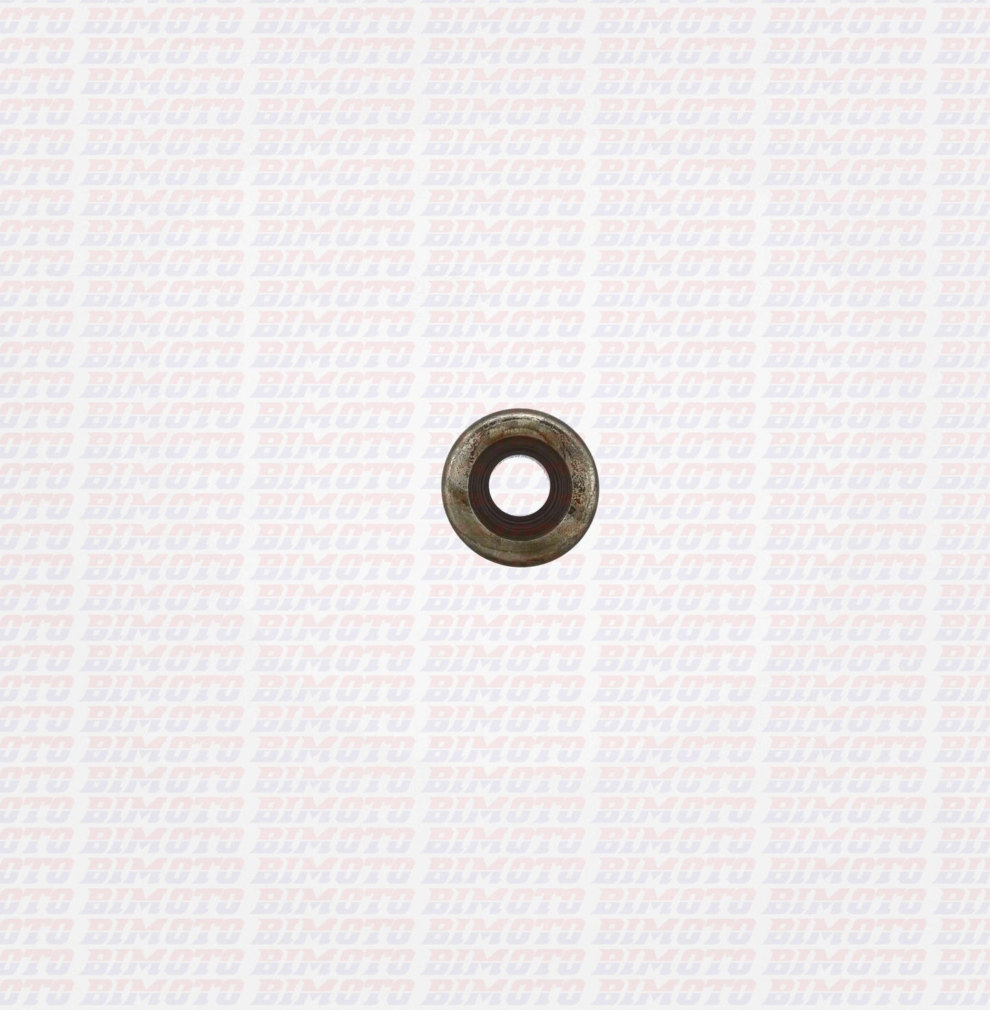 Anello Paraolio 10x22x6 Beta RR 4T (2010-2026) OEM 1044690000