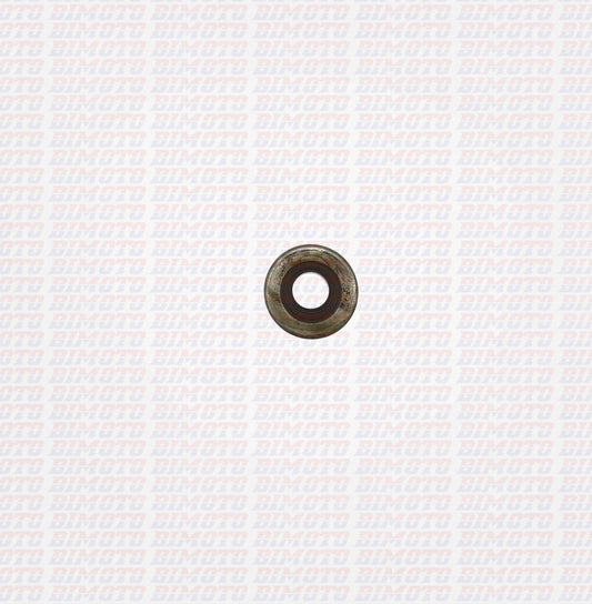 Anello Paraolio 10x22x6 Beta RR 4T (2010-2026) OEM 1044690000