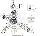 Guarnizione Base Cilindro Spessore 0.3 mm Beta Beta RR 2T 250-300 (2013-2027) - Xtrainer (2015-2027) - RX 2T (2023-2027)