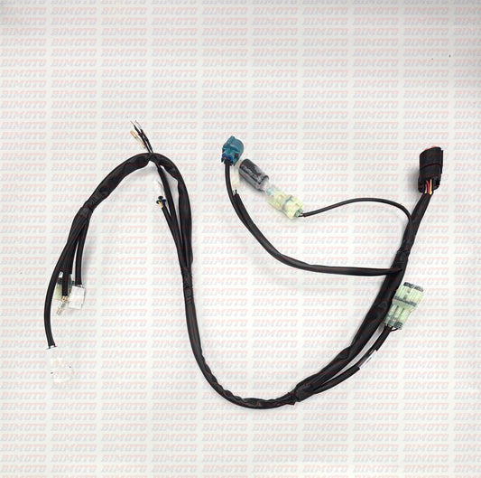 Impianto Elettrico Principale Beta RR 125 2T (2020-2026) OEM 041400000000