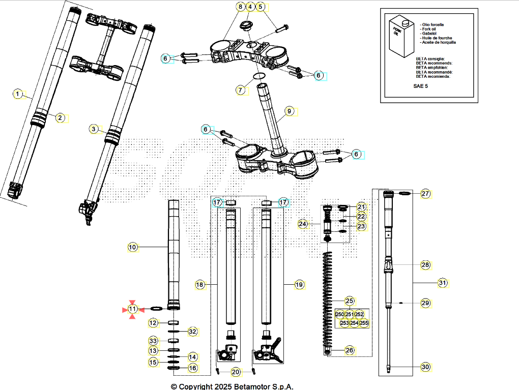 Anello di tenuta Beta RR 2T 125-250-300 Racing 20/26 RR 4T 350-390-430-480 Racing 20/26