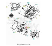 ANELLO DI TENUTA D.31,5X2,4 BETA RR 125 4T LC 2013/2020