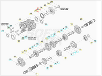 Anello OR 25X12X1,78 per Pignone Beta RR 2T-4T (2005-2025) - Xtrainer (2015-2026) - RX 2T-4T (2023-2026) OEM 1066620000