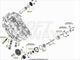 Anello OR 45.2 pompa olio RR 350/390/400/430/450/480/498/520 4T 2010-2024
