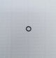 Anello OR 5,5X1 Beta RR 350/390/400/430/450/480/498/520 4T 2010-2024