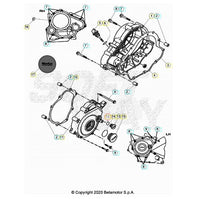 ANELLO O.R. D.13,5X2,2 X TAPPO BETA RR 125 4T LC 2013/2020