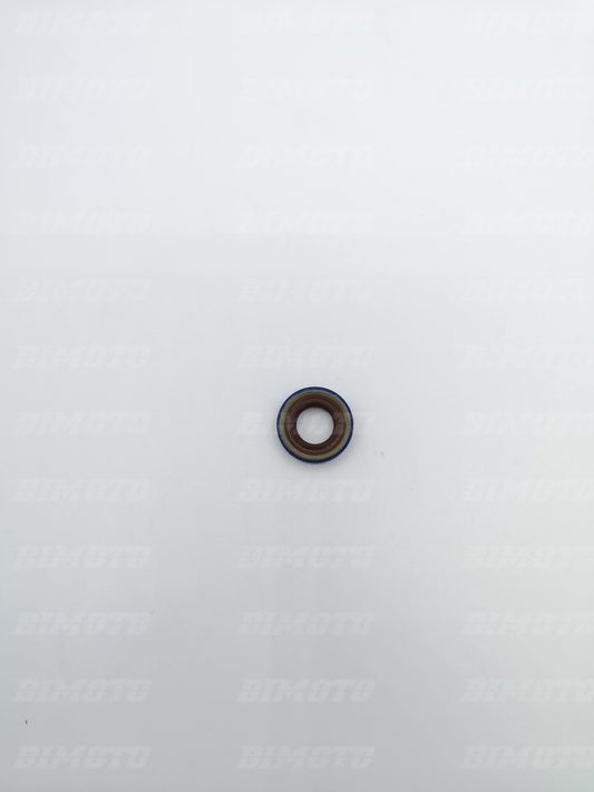 Anello paraolio 10X18X4 per pompa acqua Beta RR 400/450/525 4T 2005-2009