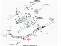 Anello Paraolio Leva Cambio 14X24X6 Beta RR 2T-4T (2010-2026) - Xtrainer (2015-2026) - RX 2T-4T