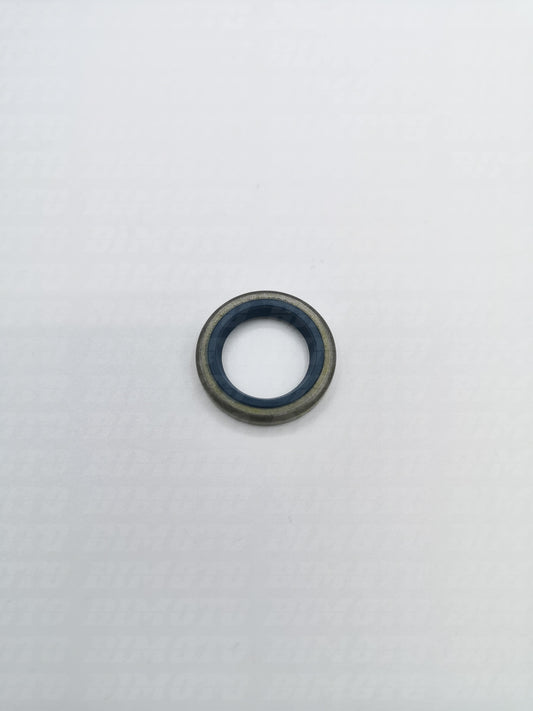 Anello paraolio 16X24X4 Beta RR 125/200/250/300 2T 2013-2025 RR 350/390/400/430/450/480/498/520/525 4T 2008-2025