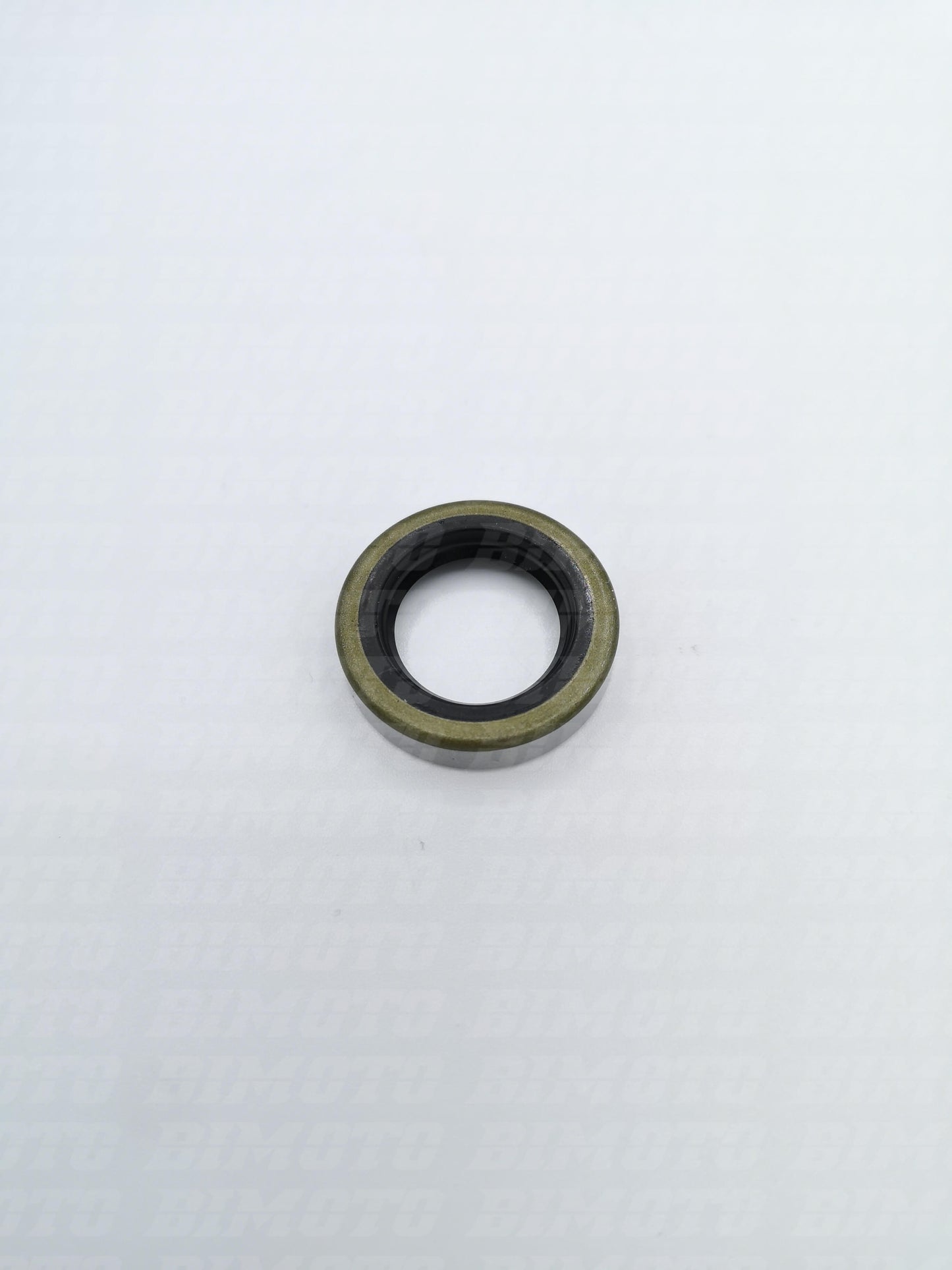 Anello paraolio 19X30X7 Beta RR 400/450/525 4T 2005/2009