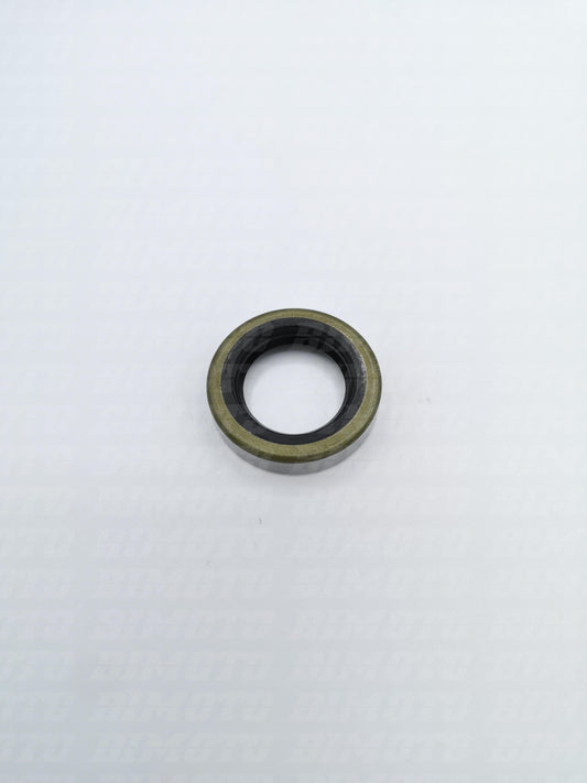 Anello paraolio 19X30X7 Beta RR 400/450/525 4T 2005/2009