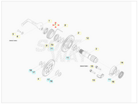 Anello Paraolio 20X30X5/6 Beta RR 4T (2010-2026) - RR 250 / 300 2T (2013-2017) OEM 1064490000