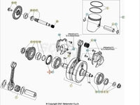 Anello paraolio di banco 38X52X7 lato frizione RR 250/300 2013-2024 Xtrainer 2015-2024