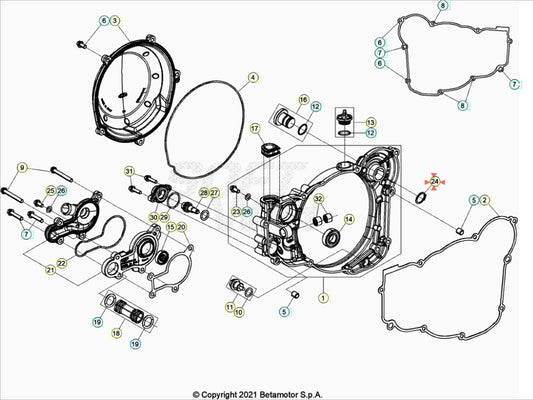 Anello seeger per albero D.19 Beta RR 250/300 2T 2018-2022 RR 350/390/430/480 4T 2018-2022 Xtrainer 250/300 2015-2022