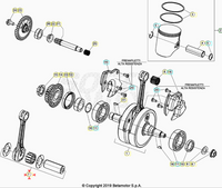 Biella completa Beta RR 250-300 2T 2018/2021 Xtrainer 2018/2021