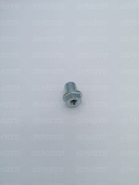 Special brake pedal bushing Beta RR 50 2T (2012-2026) OEM 024360020005